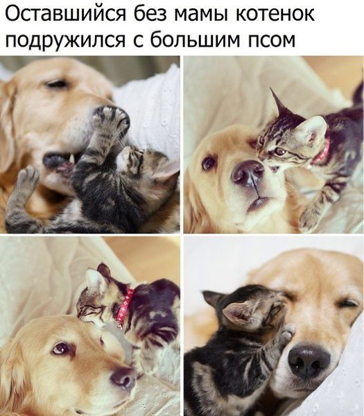    - 24  2018  02:58
