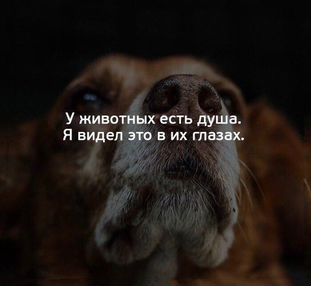    - 6  2018  03:33