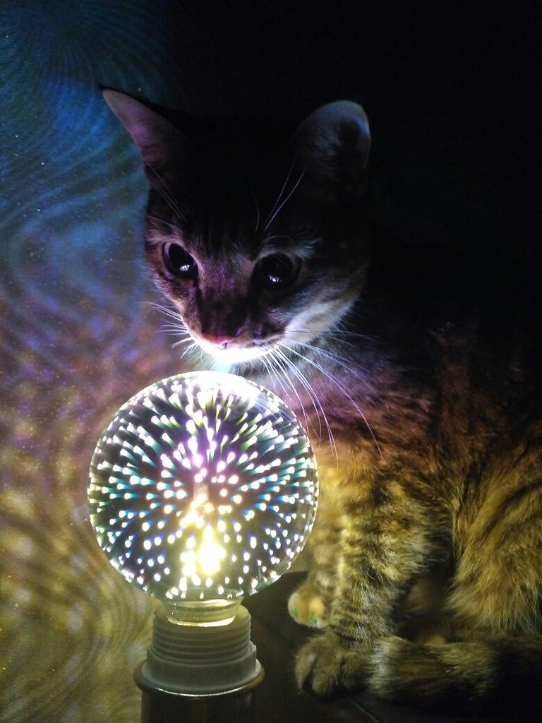       - 8  2017  03:43