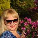 ���� �����, ������������, 49 ��� - ��������� 6 ���� 2018 � ������ ������� 2018, ���- �����