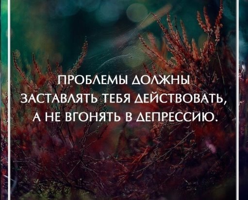 ��������� - 5 ����� 2018 � 18:51 - 54