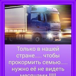 ���� ������, �����-���������, 49 ��� - ��������� 26 ������� 2017