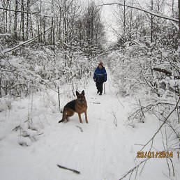 �����, �����-���������, 65 ���