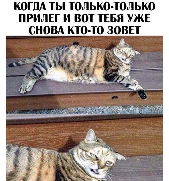  -  - 19  2018  03:47
