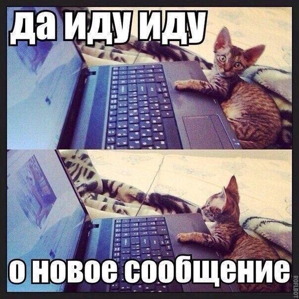    :D - 13  2018  03:41