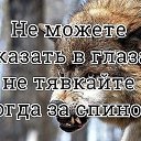 ���� �����, �������, 43 ���� - ��������� 20 ������� 2018