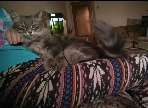 #_.  .            ... ... - 4