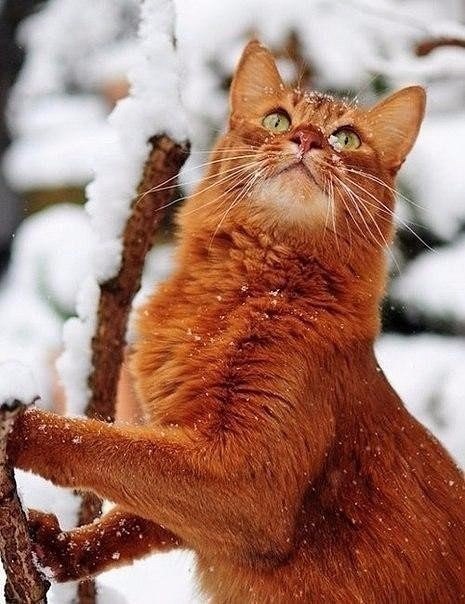  ? - 4