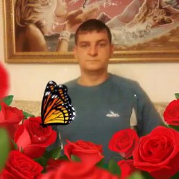 ����, �������, 45 ���