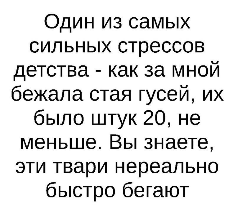 E s t h e t i q u e - 23  2018  03:42