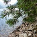 ���� �����, ������� - ��������� 14 ������ 2018 � ������ ������ �����. ��������� �����