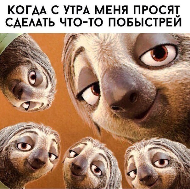    :D - 16  2018  02:33