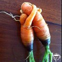 ����� �� ������ �� ������� ������ ��������