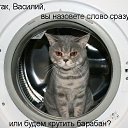 ���� �������, ������ - ��������� 29 ������ 2017 � ������ ���� ����������