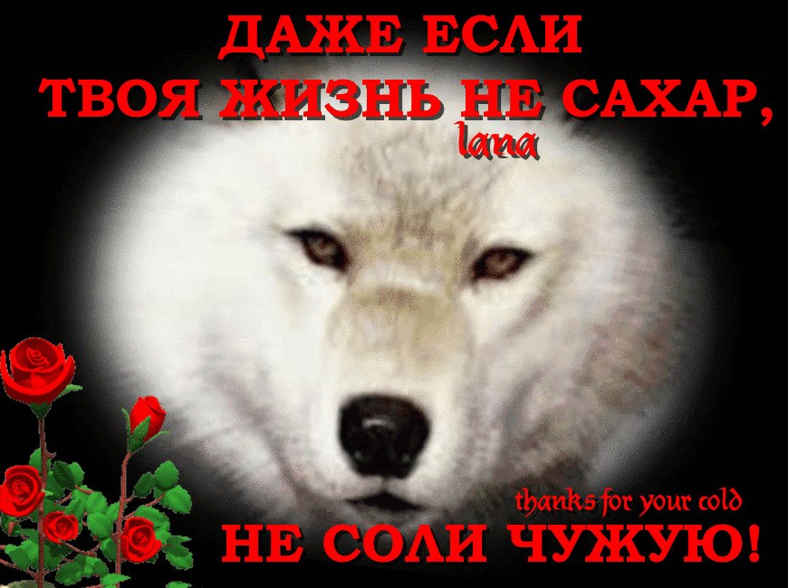 Не соли чужую жизнь, коль твоя не сахар. Не бросайся едким злом, а желай добра. Лучше каждый день ...
