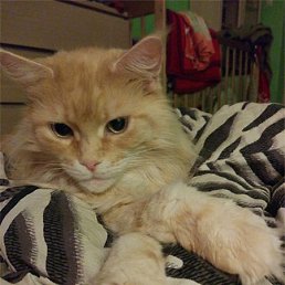 Julka Cat@, ����, 26 ���