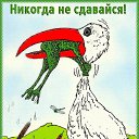 ���� ���������, �������, 47 ��� - ��������� 7 ������ 2018 � ������ ���� ����������