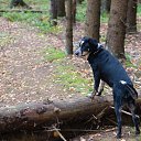  , , 60  -  27  2018     Ecce Homo ()