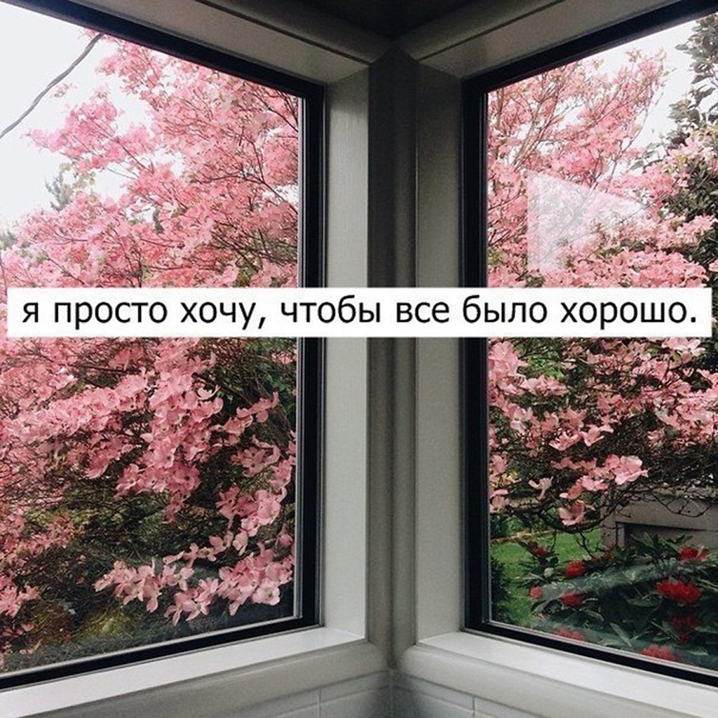 . - 29  2018  08:04