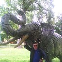 ���� ���������, ���������, 57 ��� - ��������� 5 ������ 2018 � ������ ���� ����������