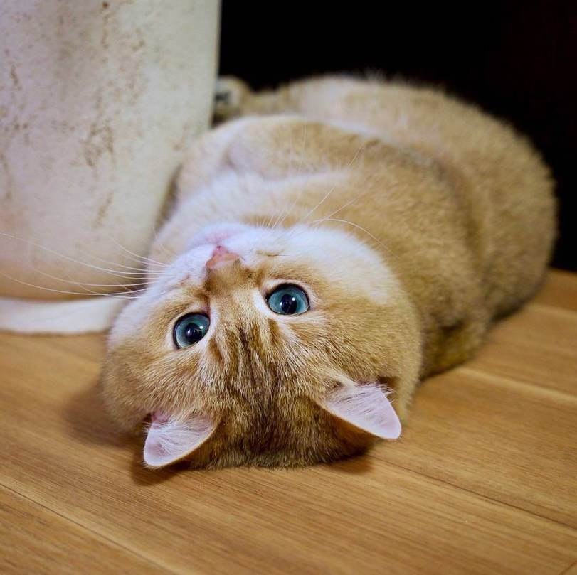   ,  : - 3