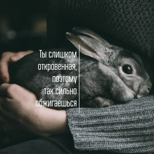  |   - 24  2018  02:37