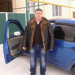 ������, ��������, 40 ���