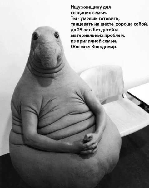 ��������� ���� - 17 ������ 2018 � 17:09