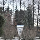   (), , 50  -  4  2018     2018