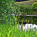  ,  -  15  2018     ...