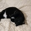 ���� Max, �������, 41 ��� - ��������� 20 ������ 2018 � ������ ���� ����������