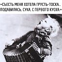  , -, 52  -  16  2018    