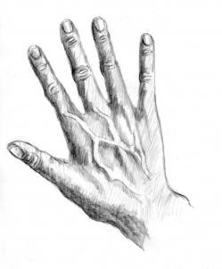     - 8