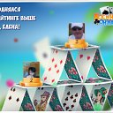 ���� ������, ������ �������� - ��������� 7 ������� 2017 � ������ �������� �������-�������