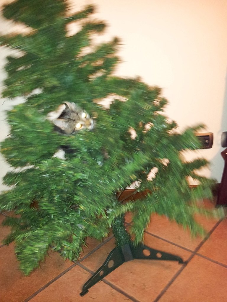  ,     ,     