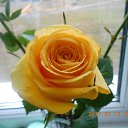 ���� ������, ��������, 70 ��� - ��������� 14 ������ 2018 � ������ ���� ����������