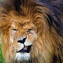 ���� �������, ������, 54 ���� - ��������� 2 ������� 2017