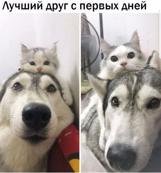   - 1  2018  03:38