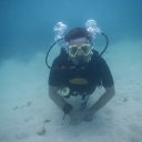 ���� �����������, ���������, 66 ��� - ��������� 11 ������� 2017 � ������ ������ ��������