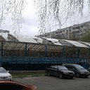  Tuz, , 55  -  26  2018    
