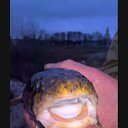 ���� ����, ������, 44 ���� - ��������� 1 ������ 2018 � ������ ���� ����������