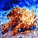  ,  -  13  2017        »