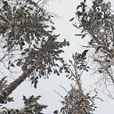 ���� �������, ������� - ��������� 28 ������ 2017 � ������ ��������