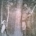  , , 66  -  23  2018   . , 1981