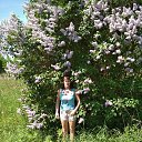 ���� ������, ����� - ��������� 14 ��� 2018 � ������ ���� ����������