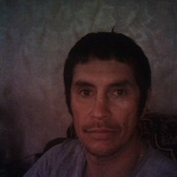 �����, �������, 49 ���