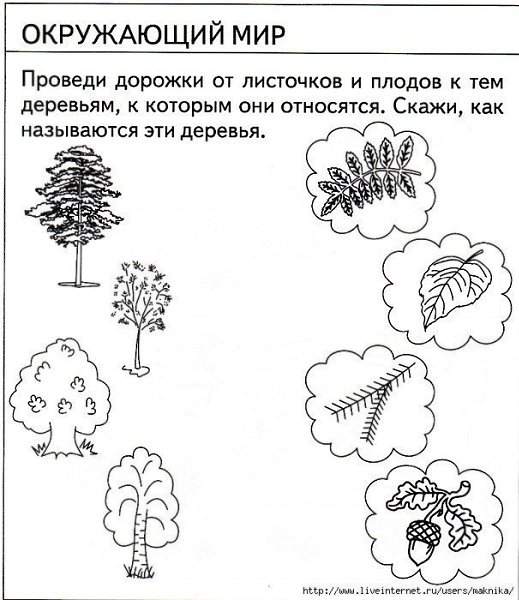 Тесты для детей 5 лет. Хорошо ли малыш знает окружающий мир? - 6