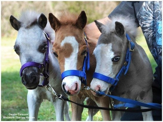  -   ! - 24  2018  03:54