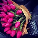 ���� ���������, ����, 34 ���� - ��������� 8 ����� 2018 � ������ ������ ��������