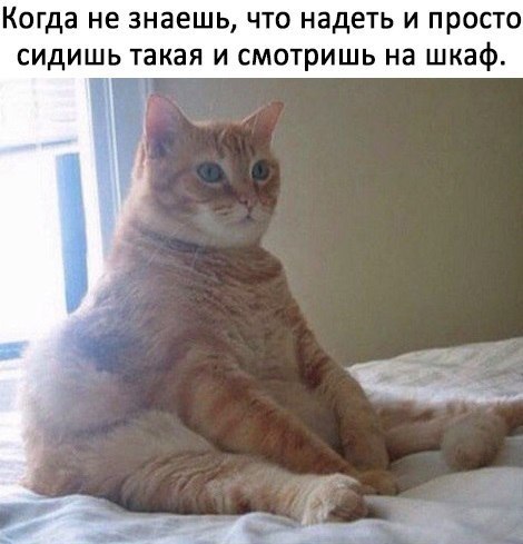   - 10  2018  03:47